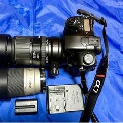 Sony α77 望遠ズームセット
の画像