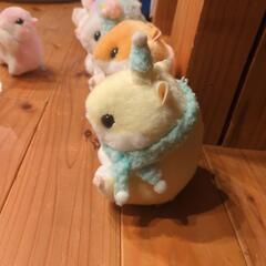 コロハムの画像