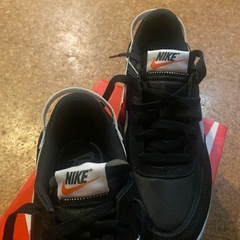 （未使用）NIKEスニーカー24㎝の画像
