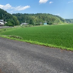 農穀物の画像