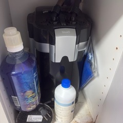 海水魚 水槽 一式の画像