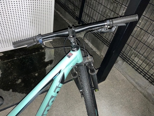 Bianchi  magma 29インチ　380mm チェレステ