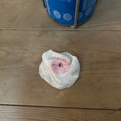 ガスランタンの画像