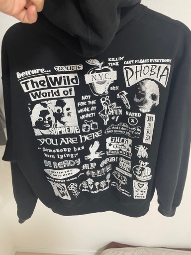 SUPREME Wild Embroidered Hooded Sweatshirt 