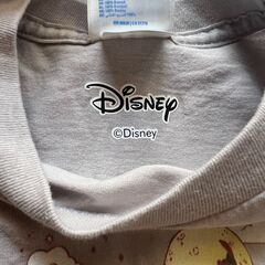 一度だけ使用　ピーターパン　ティンカーベル　Tシャツ　90cmの画像