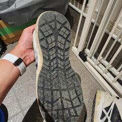 アシックス安全靴BOA26センチの画像