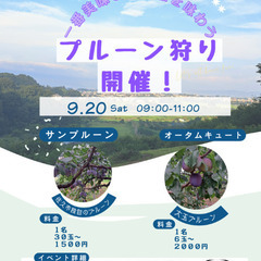 【9/20プルーン狩り開催！】