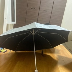 傘と日傘の画像