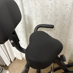 HAIGE ハイガー　フィットネスバイクの画像