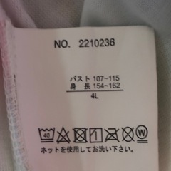 4L パステルTシャツの画像