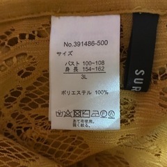 3L レースアウターの画像