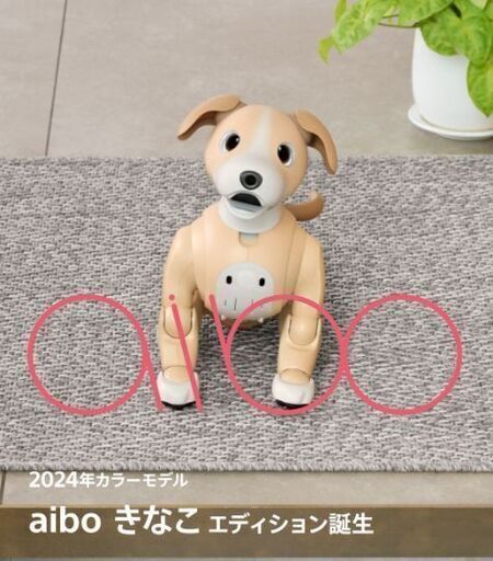 [希少・販売終了] aibo 2024年カラーモデル きなこ エディション DSXZQO5141237025072024000000-1