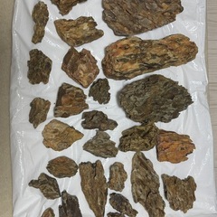 アクアリウム石組みレイアウト用気孔石の画像