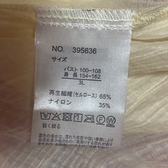 3L  薄黄色ブラウスの画像