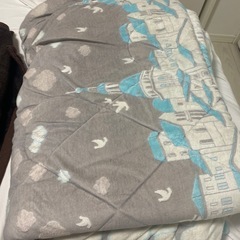 毛布、掛け布団、敷物の画像
