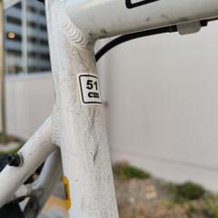 Tern Clutch ターン クラッチの画像