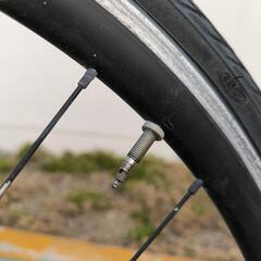 Tern Clutch ターン クラッチの画像