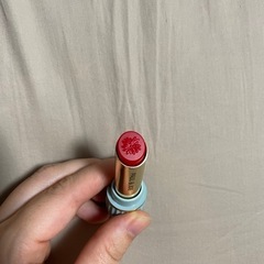 リップ　未使用の画像