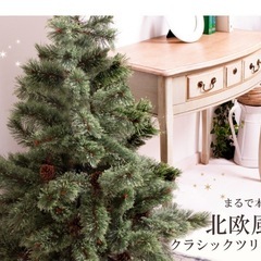 クリスマスツリーの画像
