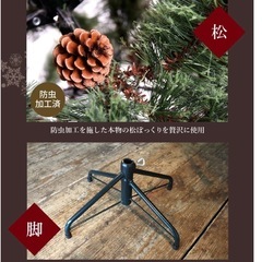 クリスマスツリーの画像