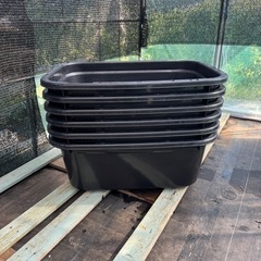 タライ　80リットル　メダカ飼育容器の画像