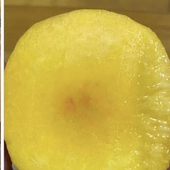 黄色桃の画像