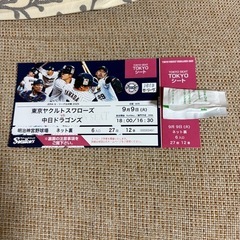 野球チケット、9/9、ヤクルトVS中日、明治神宮球場の画像