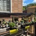 ランキングキーワードに紐づく投稿画像-観葉植物