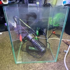 GEXグラステリアFL200水槽の画像