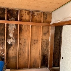 🏠 職人直営｜雨漏り修繕とシロアリ被害調査