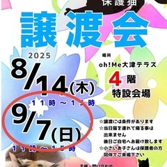 9/7（日）Oh!Me大津テラス保護猫の譲渡会開催