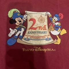 100サイズ　半袖Tシャツの画像
