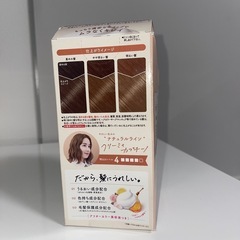 染粉　泡タイプ　ビューティーラボ　クリーミィカプチーノの画像