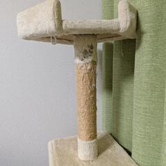 キャットタワーの画像
