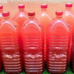 【11/23までの期間限定♪】超濃厚PSB 光合成細菌 生バクテリア2000mL〜　熱帯魚.メダカ.金魚.家庭菜園や観葉植物へ！の画像