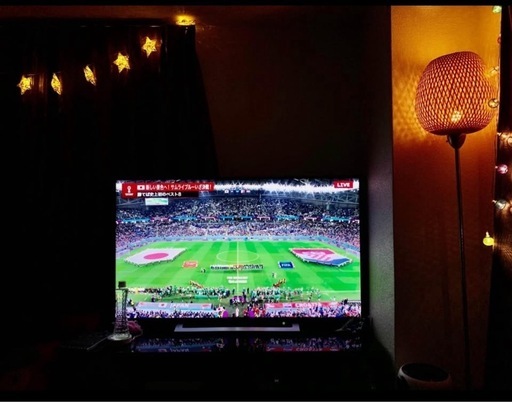 東芝 REGZA 50M520X 50インチ