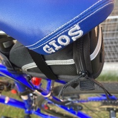 GIOS MISTRAL(限定カラー) の画像