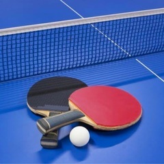 卓球しよ〜🏓✨️！！(大阪市内)