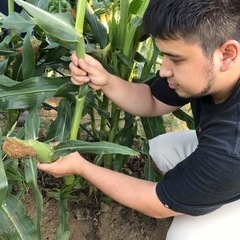 エコ生活の研究を一緒にしませんか？