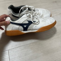 ミズノ　室内シューズ　の画像