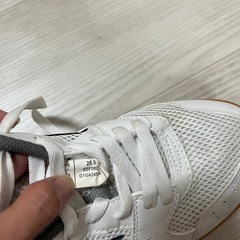 ミズノ　室内シューズ　の画像