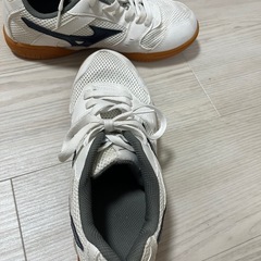 ミズノ　室内シューズ　の画像