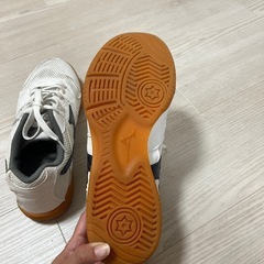 ミズノ　室内シューズ　の画像