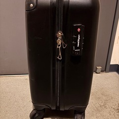 機内持ち込み可！TSAロックトランクの画像