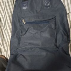 キャリーバッグの画像