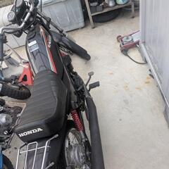 ホンダ　ラクーン　原宿バイクの画像