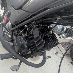 ホンダ　ラクーン　原宿バイクの画像