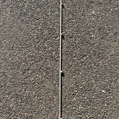 ヤマホスズラン5頭噴口