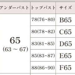 ブライダルインナー　アンダー65の画像