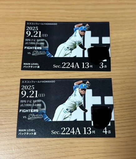 駐車券付9/21エスコンチケット　バックネット裏